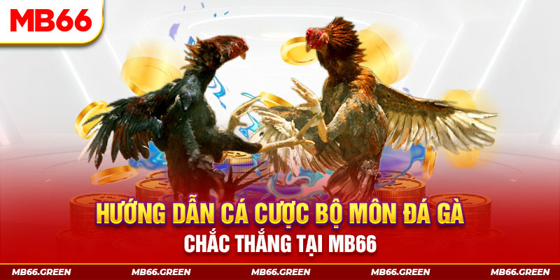 ok365 CQ9 Điện Tử