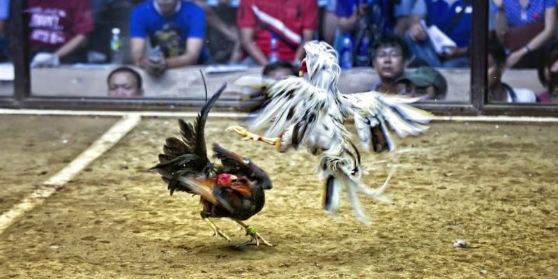ok365 xổ số miền bắc hôm quả