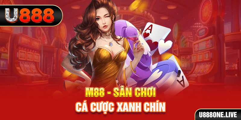 ok365 gà chọi cậu thanh