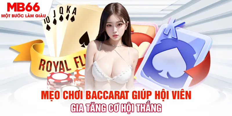 ok365 đá gà 88