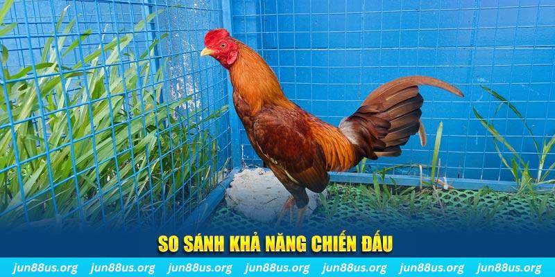 ok365 xổ số tiền giang