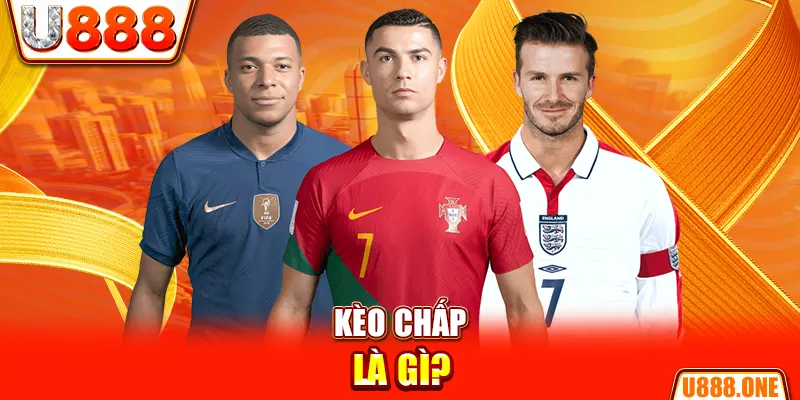 ok365 chổi lông gà