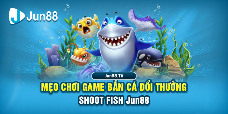 ok365 tai game danh bai bigkool ve may tinh