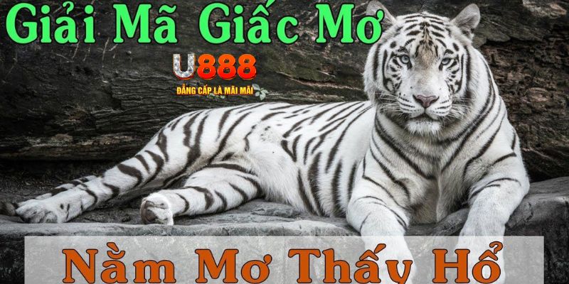 ok365 xổ số kiến thiết miền bắc