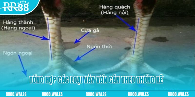 ok365 nổ hũ chơi như thế nào