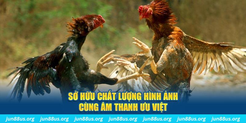 ok365 tai game danh bai ve may tinh