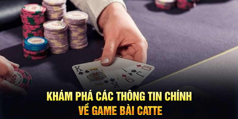 ok365 Trăm người Bo tám Bo chín