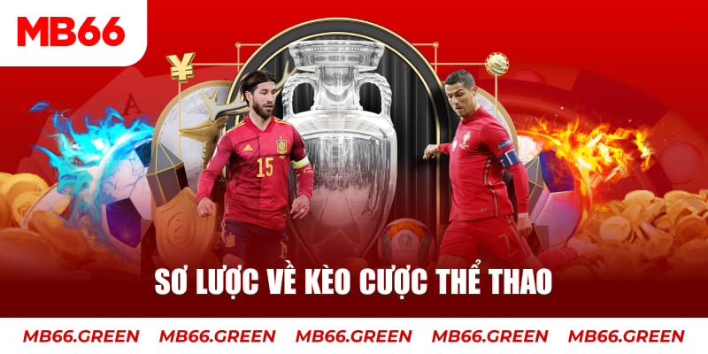 ok365 xổ số an giang