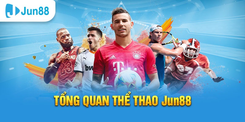 ok365 slot tiếng anh la gì
