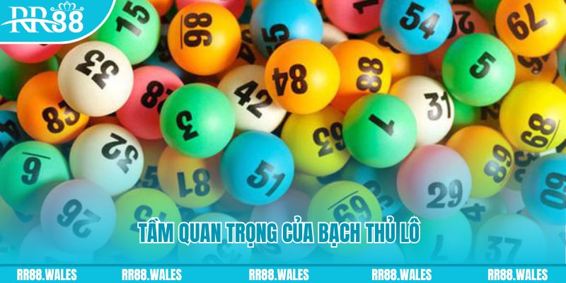 ok365 đá gà trực tiếp casino