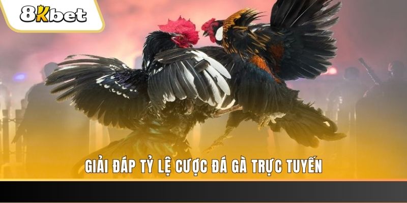 ok365 xổ số ba đài