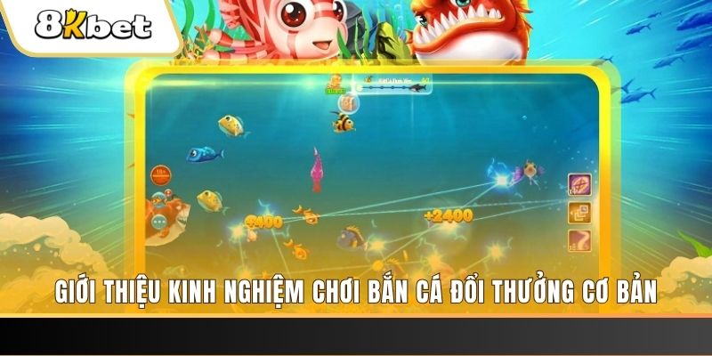 ok365 8 bí ẩn chơi nổ hũ ít ai biết