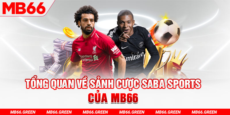 ok365 slot có nghĩa là gì