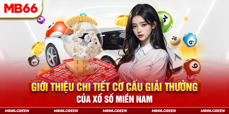 ok365 PP Điện Tử