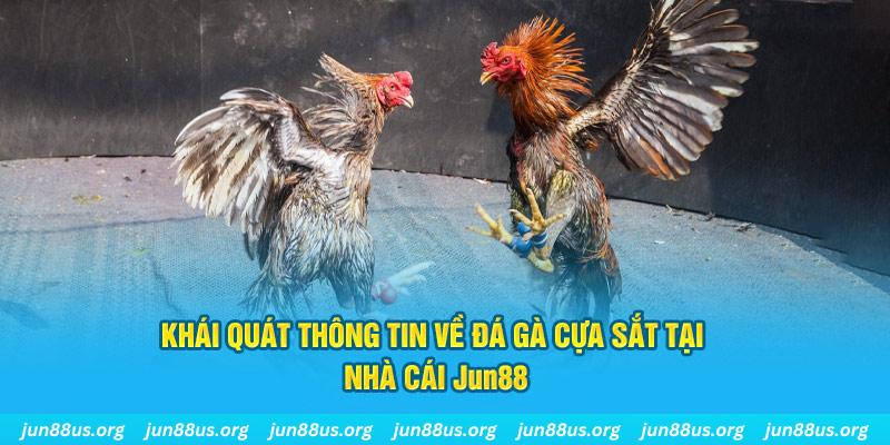 ok365 game bài trên máy tính