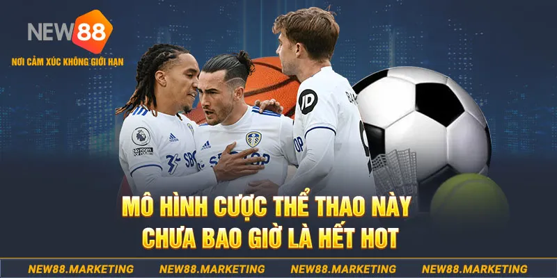 ok365 gà chọi c1 thomo