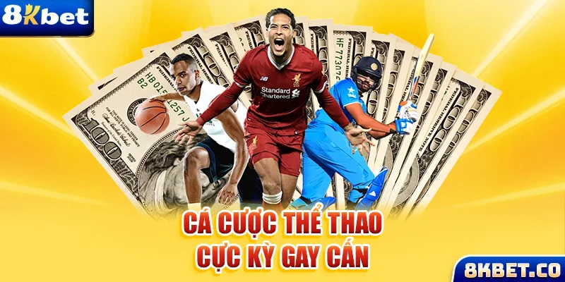 ok365 Bữa tiệc dành cho thanh thiếu niên